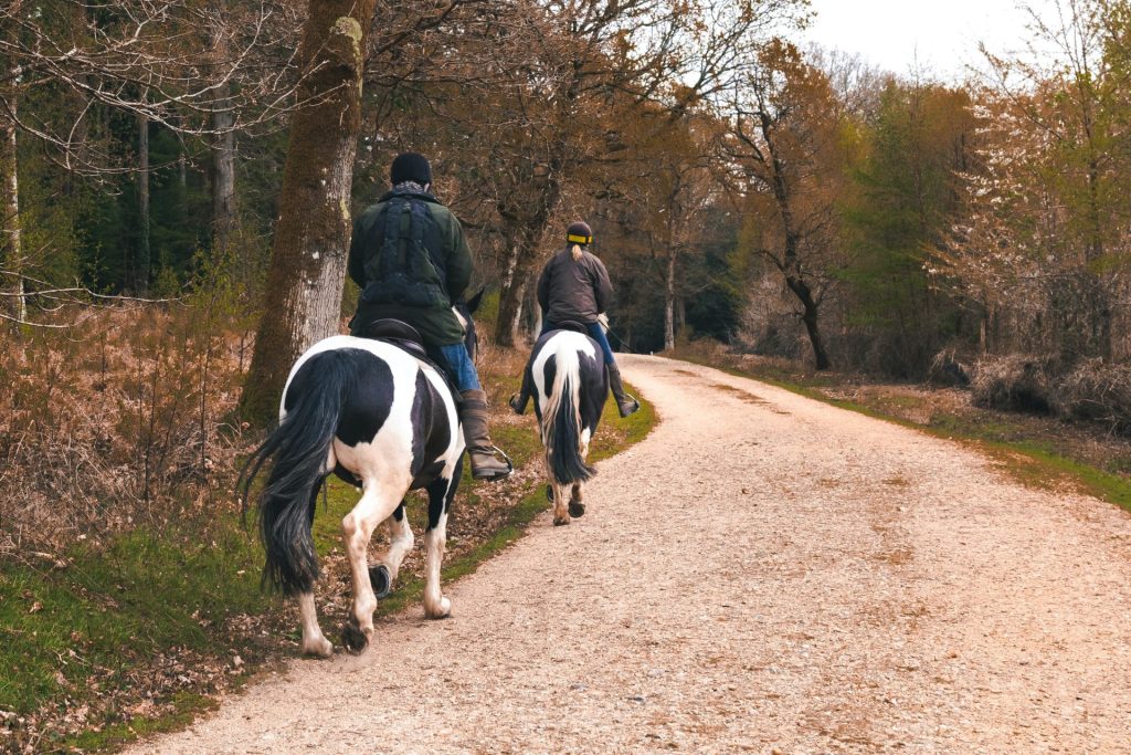 two people riding horses down a dirt road
