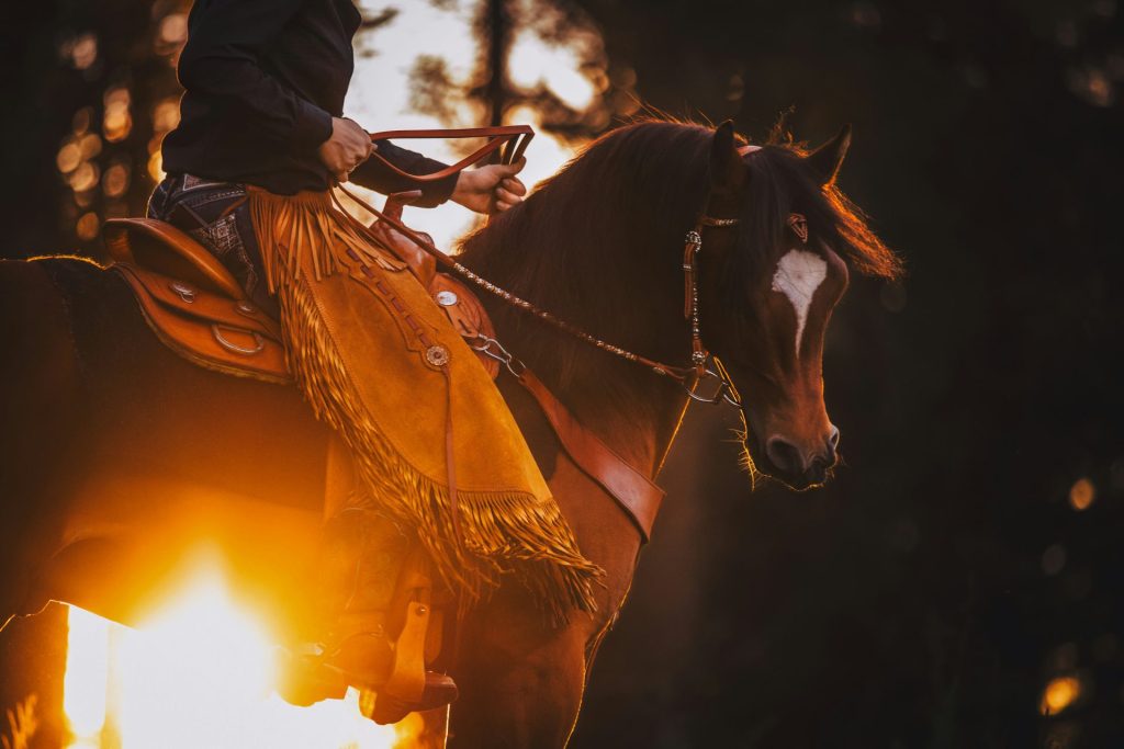 a man riding on the back of a brown horse